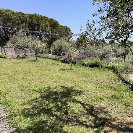 Villa Egle Belpasso, Villa Vacanza Con Piscina 외부 사진