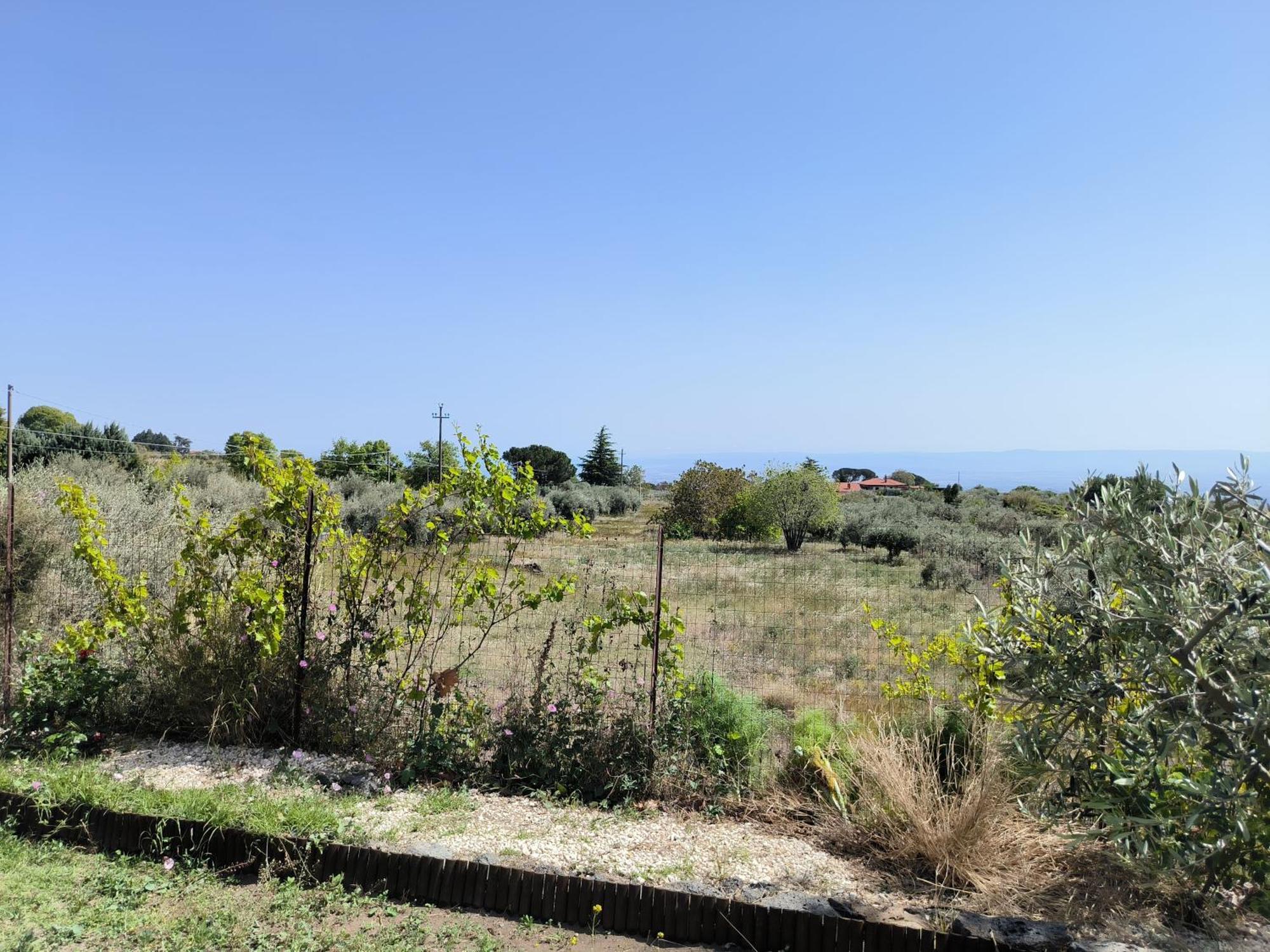 Villa Egle Belpasso, Villa Vacanza Con Piscina 외부 사진